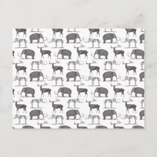 Prehistoric Animals - Woolly Mammoth and Megaceros Postcard