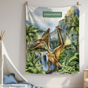 Prehistoric Dinosaur Boys Birthday Blanket Custom