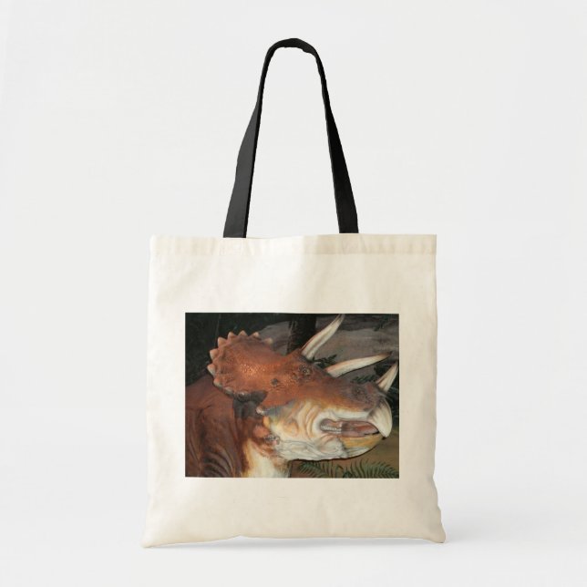 Prehistoric Dinosaur  Tote Bag (Front)