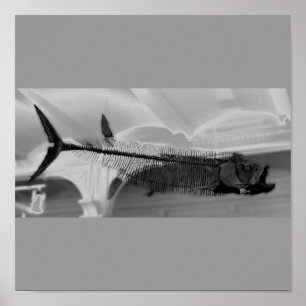 Prehistoric Fish B+W Poster