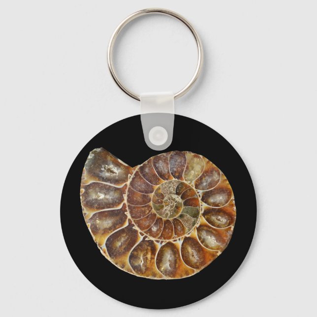 prehistoric fossil snail shell black animal nature key ring (Front)