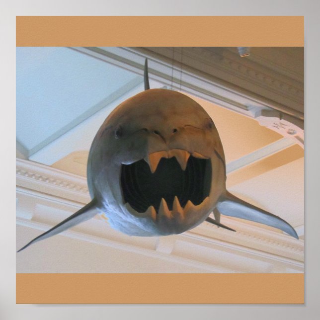 Prehistoric Shark Poster (Front)