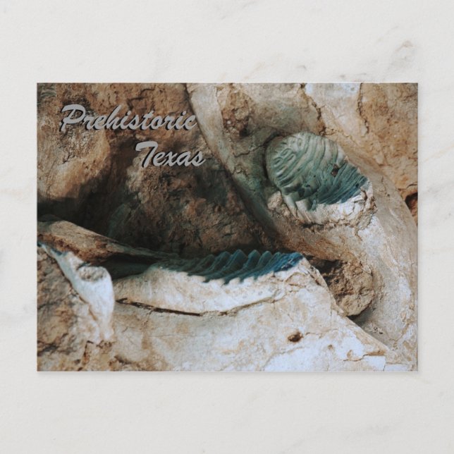 Prehistoric Texas postcard (Front)