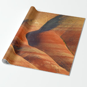 Prehistoric Wrapping Paper