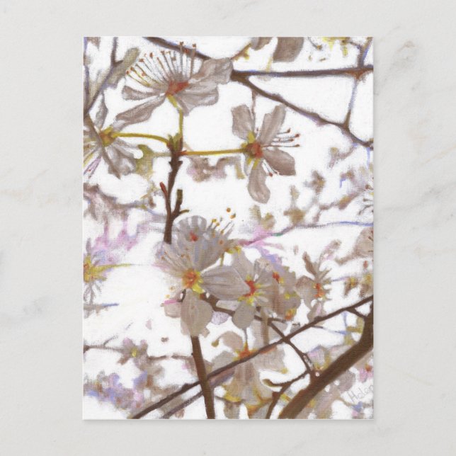 Prelude 2014 postcard (Front)