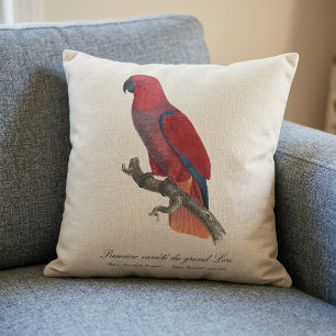Premiere variete du grand Lori / Eclectus parrot  Cushion
