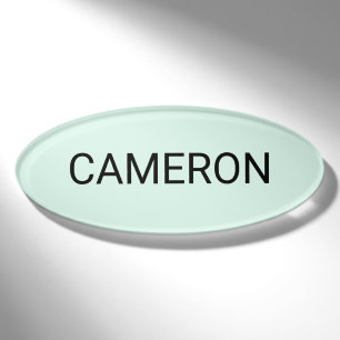 Premium Acrylic Oval Name Tag Magnetic Mint Green