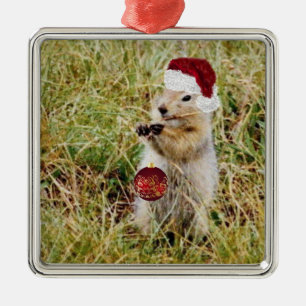 Premium Ornament w/ gopher