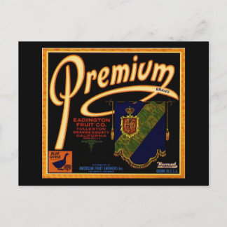 Premium Postcard