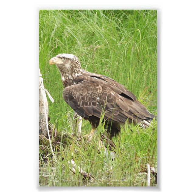 Premium Satin Photo Paper Photo Enlargement (Front)