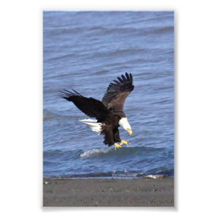 Premium Satin Photo Paper Photo Enlargement Print