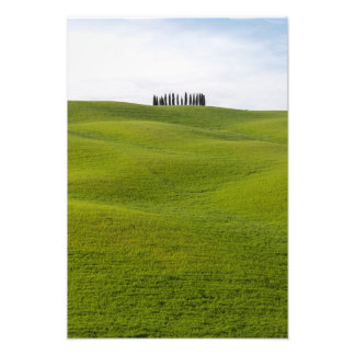 Premium Satin Photo Paper Photo Enlargement Print