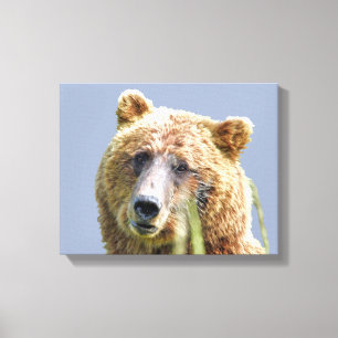 Premium Wrapped Canvas 11x14 of grizzly bear