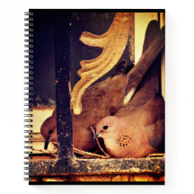 Preparation  notebook