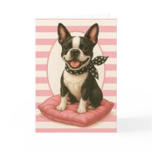 Preppy Boston Terrier