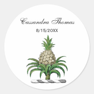 Preppy Heraldic Pineapple Coat of Arms Crest Classic Round Sticker