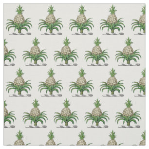 Preppy Heraldic Pineapple Coat of Arms Crest Fabric