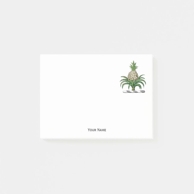 Preppy Heraldic Pineapple Coat of Arms Crest Post-it Notes (Front)