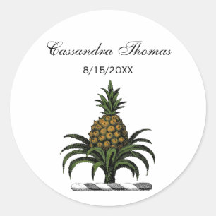 Preppy Heraldic Pineapple Crest Colour WT Classic Round Sticker