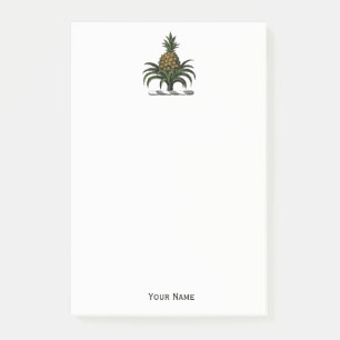Preppy Heraldic Pineapple Crest Colour WT Post-it Notes