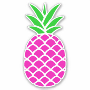 Preppy Pink and Green Pineapple