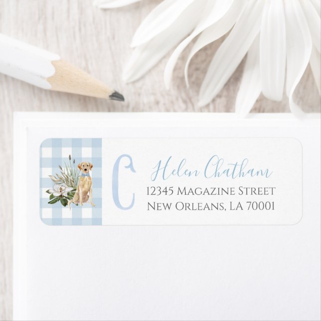 Preppy Southern Blue Boy Dog Baby Shower (Insitu)