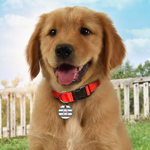 Preppy Striped Slate Blue Monogram ID Dog Tag