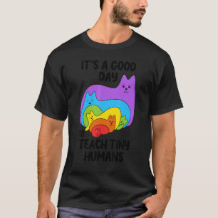 Preschool Teacher Teach Tiny Humans Rainbow Cats T-Shirt