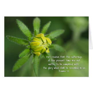 Present sufferings Romans 8:18   Yellow Daisy