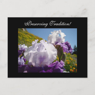 Preserving Traditions! postcards Iris Flowers