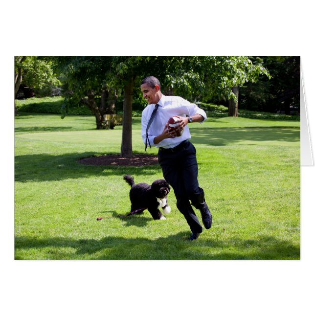 President Barack Obama & Bo (Front Horizontal)