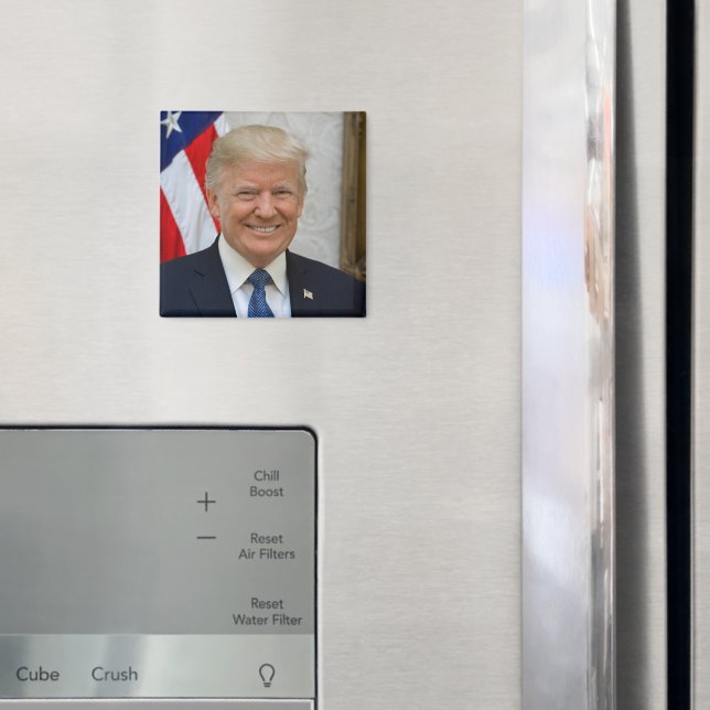 President Donald Trump 2017 Official Portrait Magnet (In Situ (Fridge))