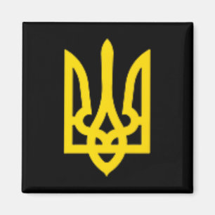 President Of Ukraine Volodymyr Zelensky Ukrainian Magnet