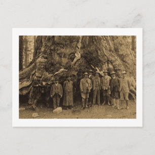 President Roosevelt and John Muir Beneath (Sepia) Postcard