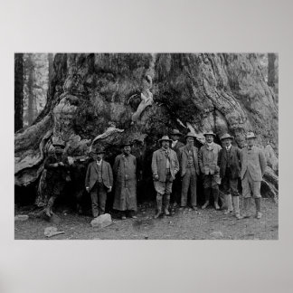 President Roosevelt and John Muir California 1903 Poster
