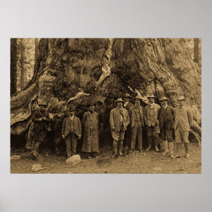 President Roosevelt and John Muir California Sepia Poster