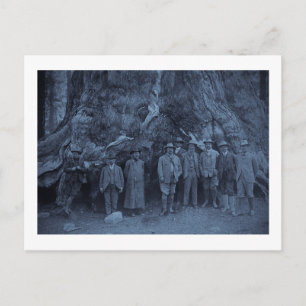 President Roosevelt and John Muir (Cyan) Postcard