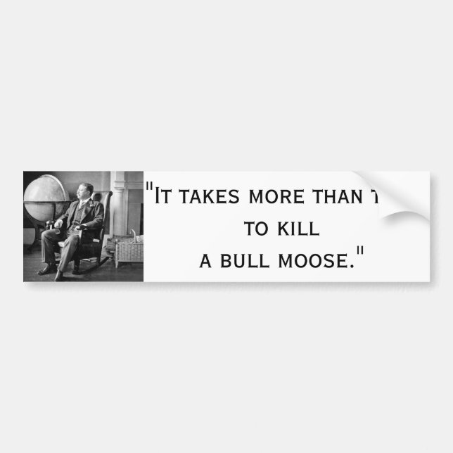 President Teddy Roosevelt Vintage White House Bumper Sticker (Front)