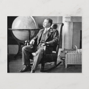 President Teddy Roosevelt Vintage White House Postcard
