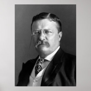 President Theodore Roosevelt Black & White Poster