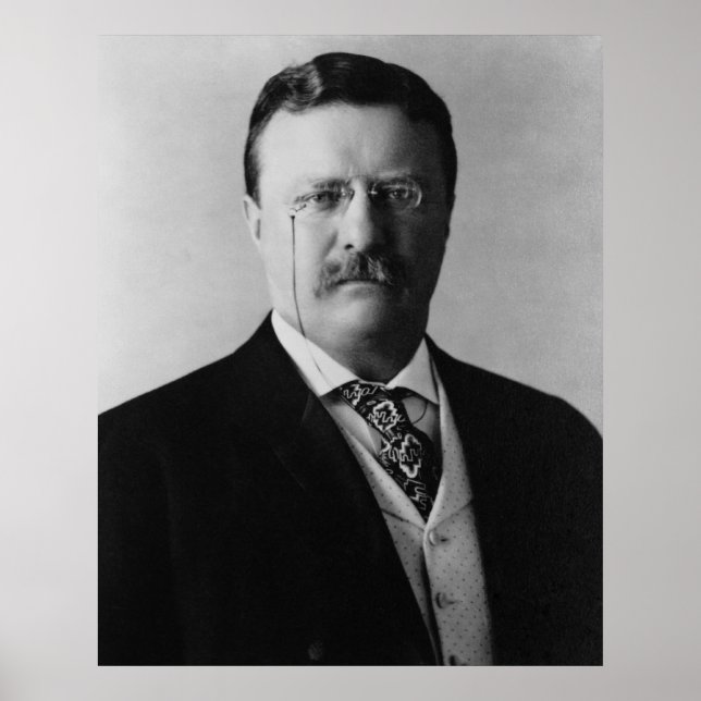 President Theodore Roosevelt Portait Poster (Front)