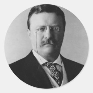 President Theodore Roosevelt Portrait Classic Round Sticker