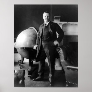 President Theodore Roosevelt Poster