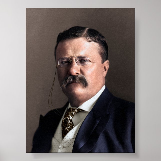 President Theodore Roosevelt Poster (Front)