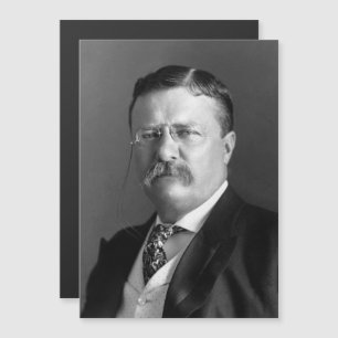 President Theodore Teddy Roosevelt Republican