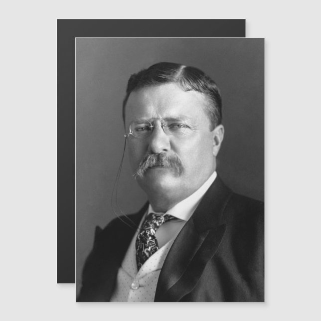 President Theodore Teddy Roosevelt Republican (Front/Back)