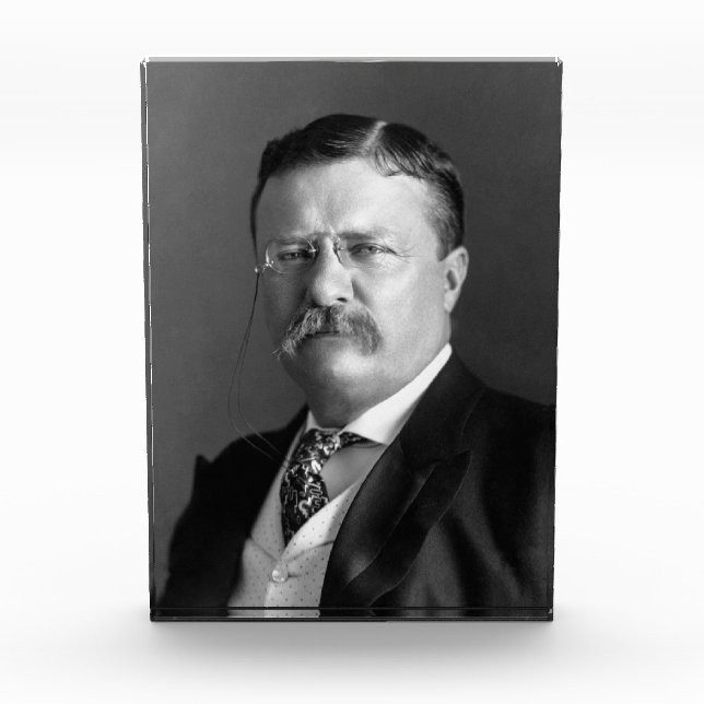 President Theodore Teddy Roosevelt Republican Photo Block (Front)