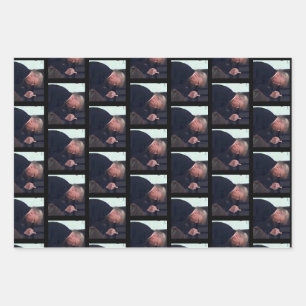 President Trump Flipping the Bird Wrapping Paper Sheet