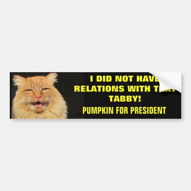 Presidential Campaign Slogan Bumper Sticker (Front)