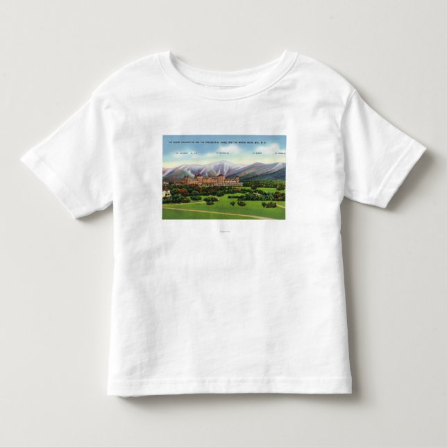 Presidential Range View Toddler T-Shirt (Front)